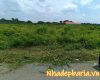 Bán đất 2 mặt tiền ấp 1 xã tóc tiên
