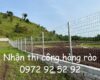 Nhận thi công hàng rào lưới thép hàn tại xã Ngãi Giao giá rẻ