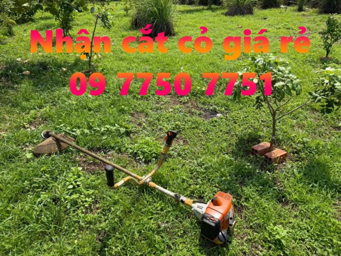 Nhận cắt cỏ tại KCN Châu Đức giá rẻ 09 7750 7751