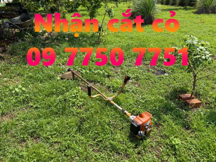 Nhận cắt cỏ giá rẻ 09 7750 7751