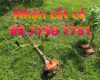 Dịch vụ phát cỏ tại Ngãi Giao giá rẻ – Phát cước an toàn