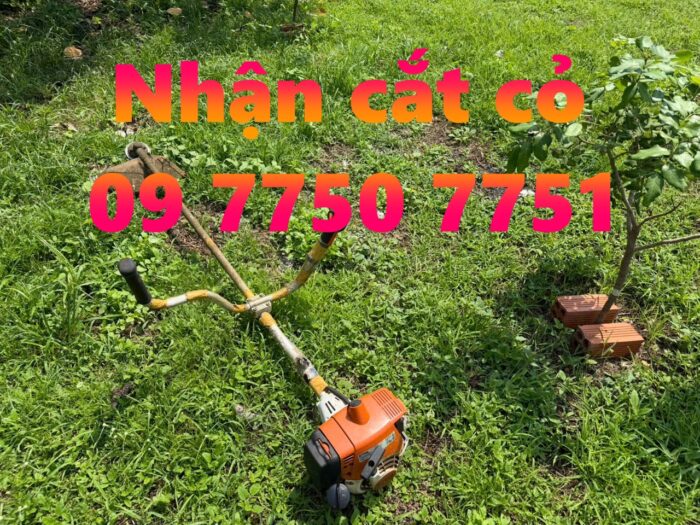 Nhận cắt cỏ giá rẻ 09 7750 7751